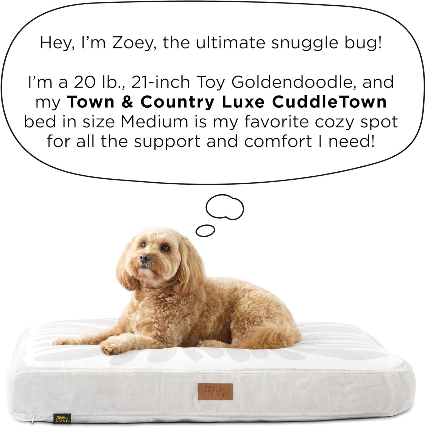 Town & Country Luxe CuddleTown Matisse Everwash® Pillow Pet Bed, Water Repellent Floor Pillow, Machine Washable Cover, Soft & Calming, Taupe, Medium 36"x28"x4"
