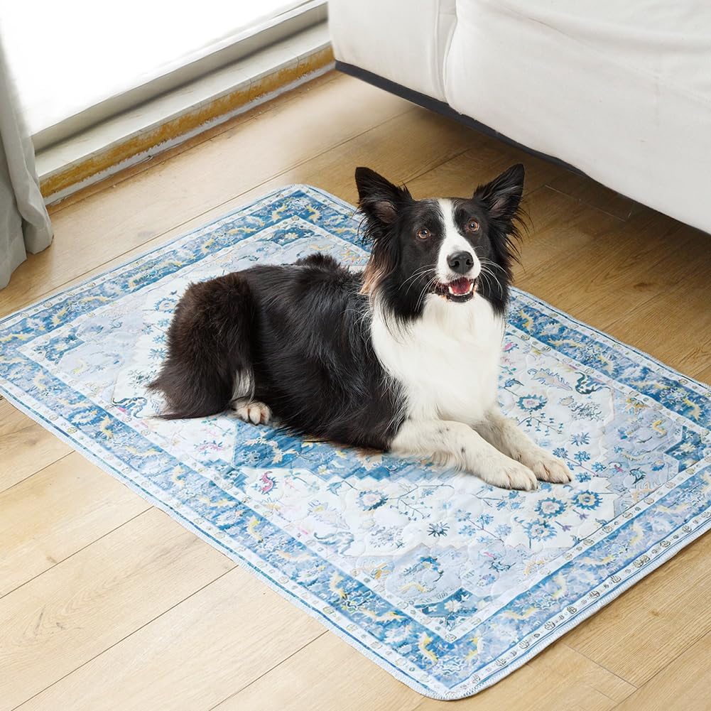 Blue Waterproof Washable Pee Pads for Dogs - Reusable, Super Absorbent, Non-Slip Potty Pads - 60"x48" - 2 Pack