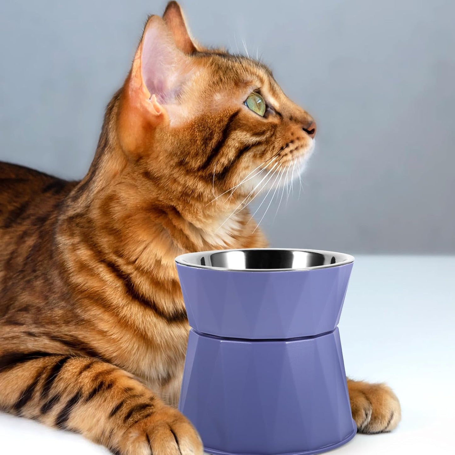 PRETYZOOM Adjustable Elevated Cat Bowls with Non-Slip Stand Blue Raised Pet Food and Water Bowls for Indoor Cats