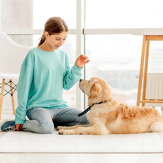 Washable Pee Pads for Dogs 2 Pack, 34" x 36" Waterproof Incontinence Bed Pads for Adults, Elderly and Kids, Nursing Pads, Chucks Pads, Super Asorbent Dog Training Pads, White & Green