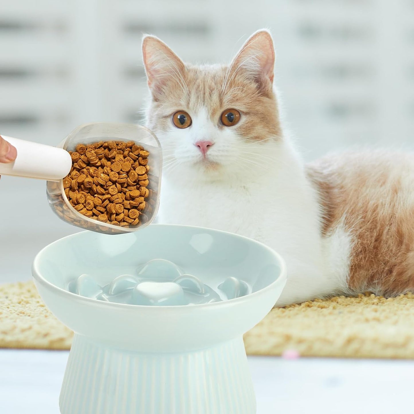 2 Pack Raised Cat Slow Feeder, Elevated Slow Feed Dish for Cats and Small Dogs, Ceramic Slow Feeder Cat Bowl, No Spill High Edge for Dry/Wet Food(Blue, Green)