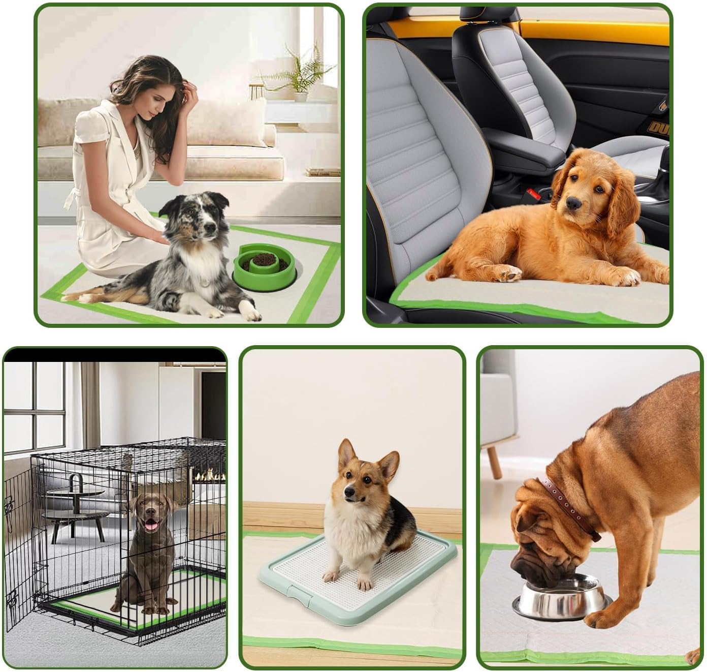 Gardner Pet Dog Pee Pads Extra Large 28"x34", XL Thicker ECO Green Disposable XLarge Puppy Training Pads Super Absorbent Full Edge-Wrapping Pad for Dogs, Puppies, Doggie, Cats, Rabbits-(30 Count)