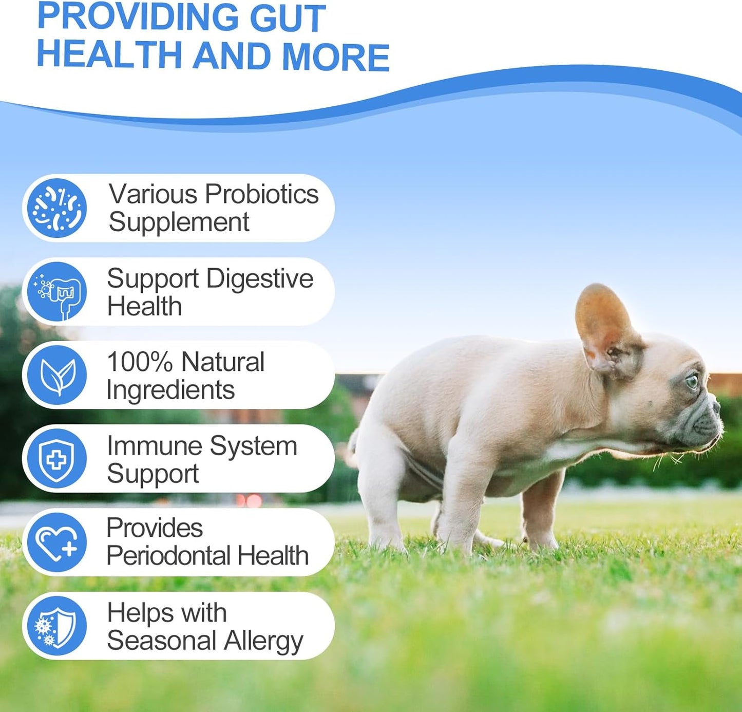 Probiotics for Dogs 200 Chews - Dog Probiotics with 6 Digestive Enzymes,4 Prebiotics,11 Billion CFUs, Colostrum - for Gut Gas Health, Yeast Balance, Skin & Coat, Seasonal Allergies Immune Support