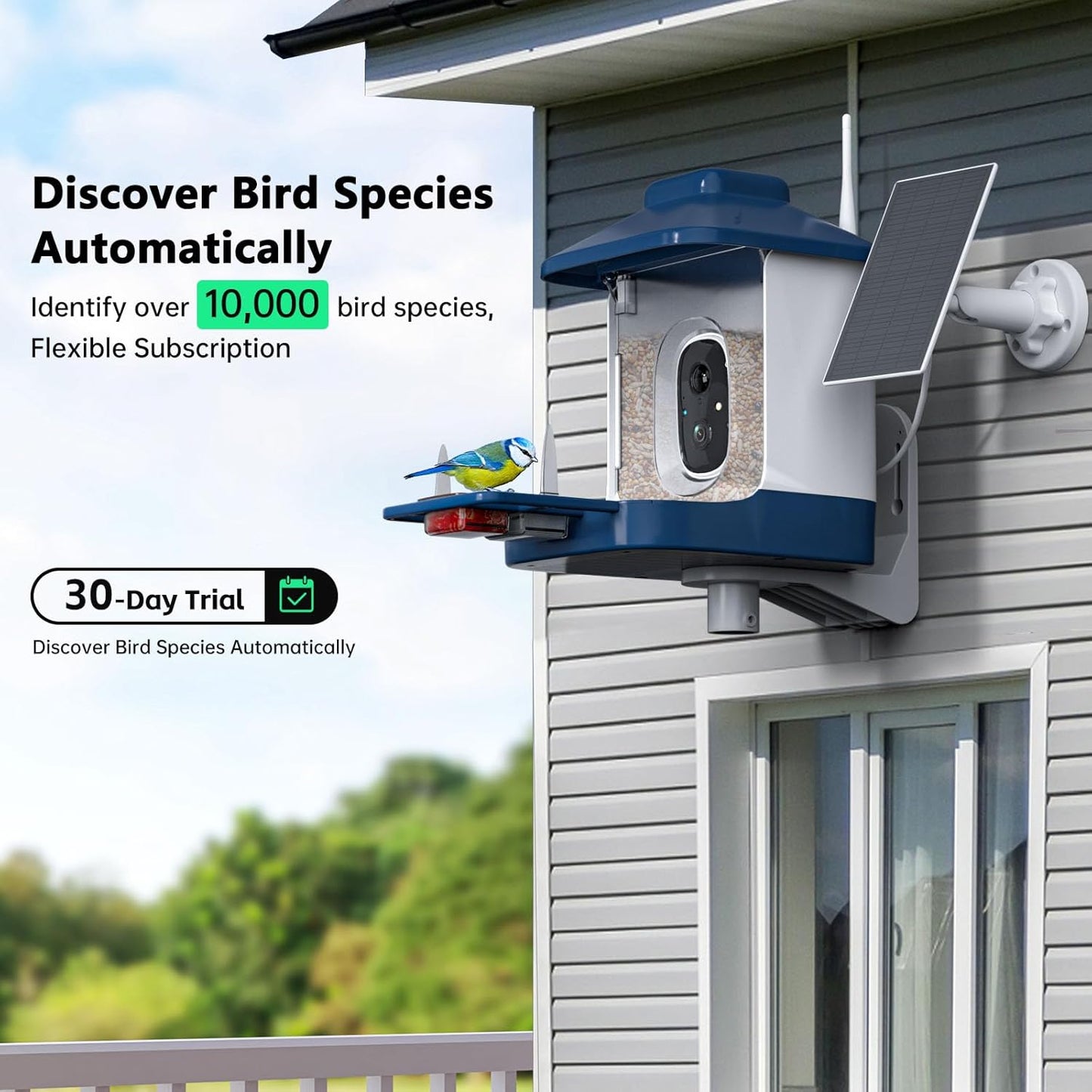 Bird Feeder with Camera, AI Bird Identification, Full HD Live Video, Solar Powered, 2.4Ghz WiFi, Instant Arrival Alerts - Best Gifts for Bi rd Lover