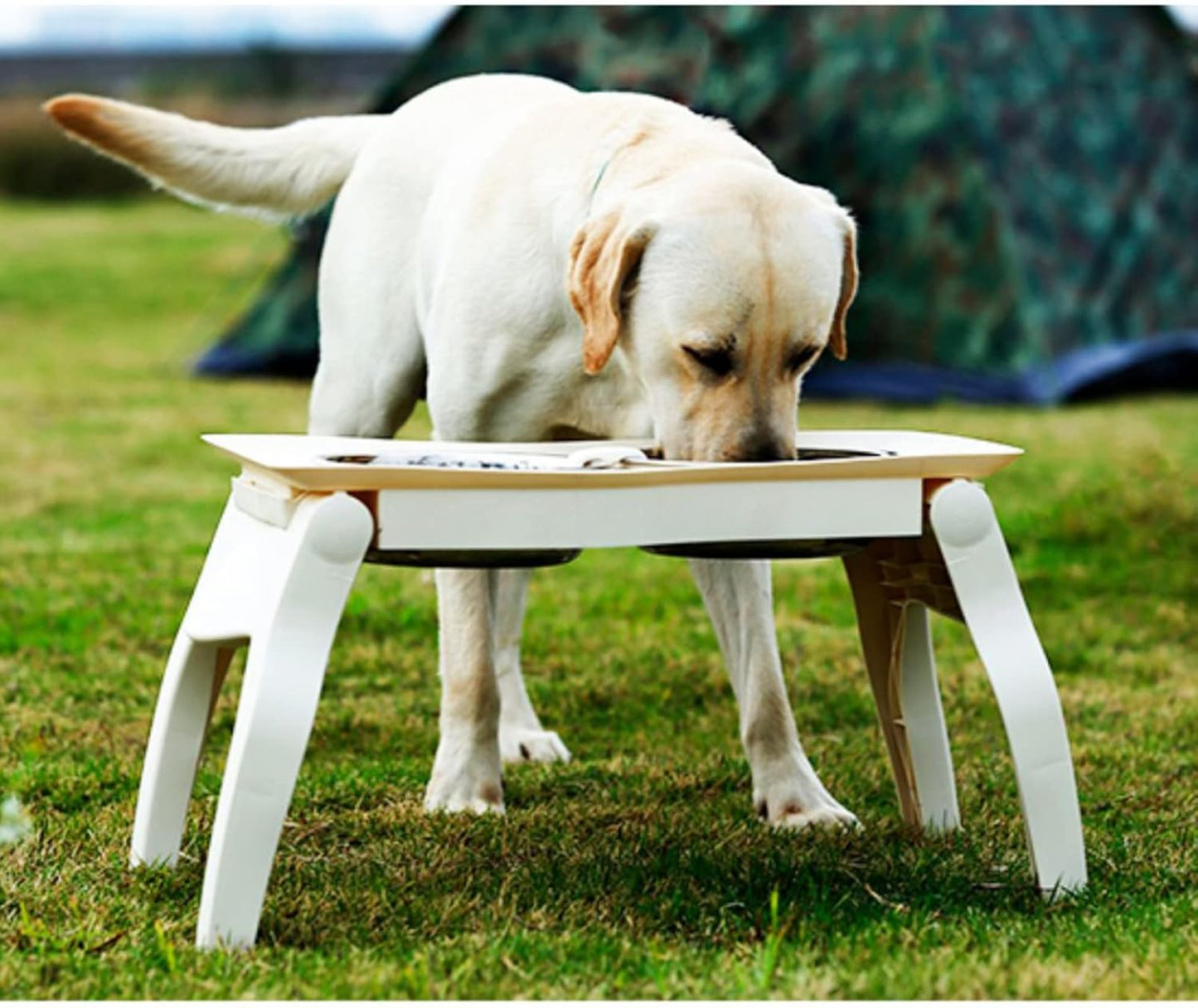 Elevated Dog Bowl Stand, Adjustable Elevated Dog Bowls with 2 Stainless Steel Food & Water Bowls, Raised Dog Feeder with a Folding Shelf,M-Double