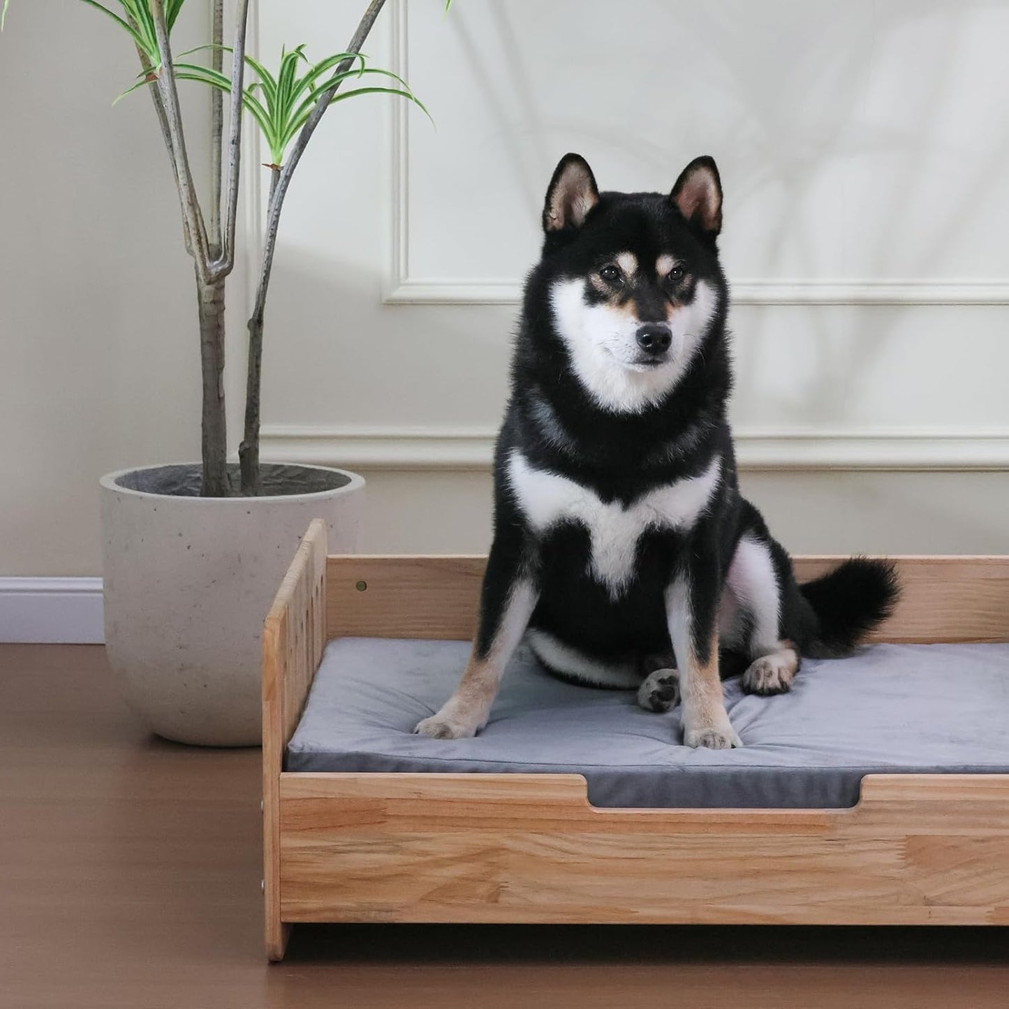 Elevated Dog Bed for Small to Medium Dogs – 32” x 21” Indoor Wooden Pet Sofa with Soft Cushion, Mid-Century Modern Style, Sturdy & Stylish (Natural)