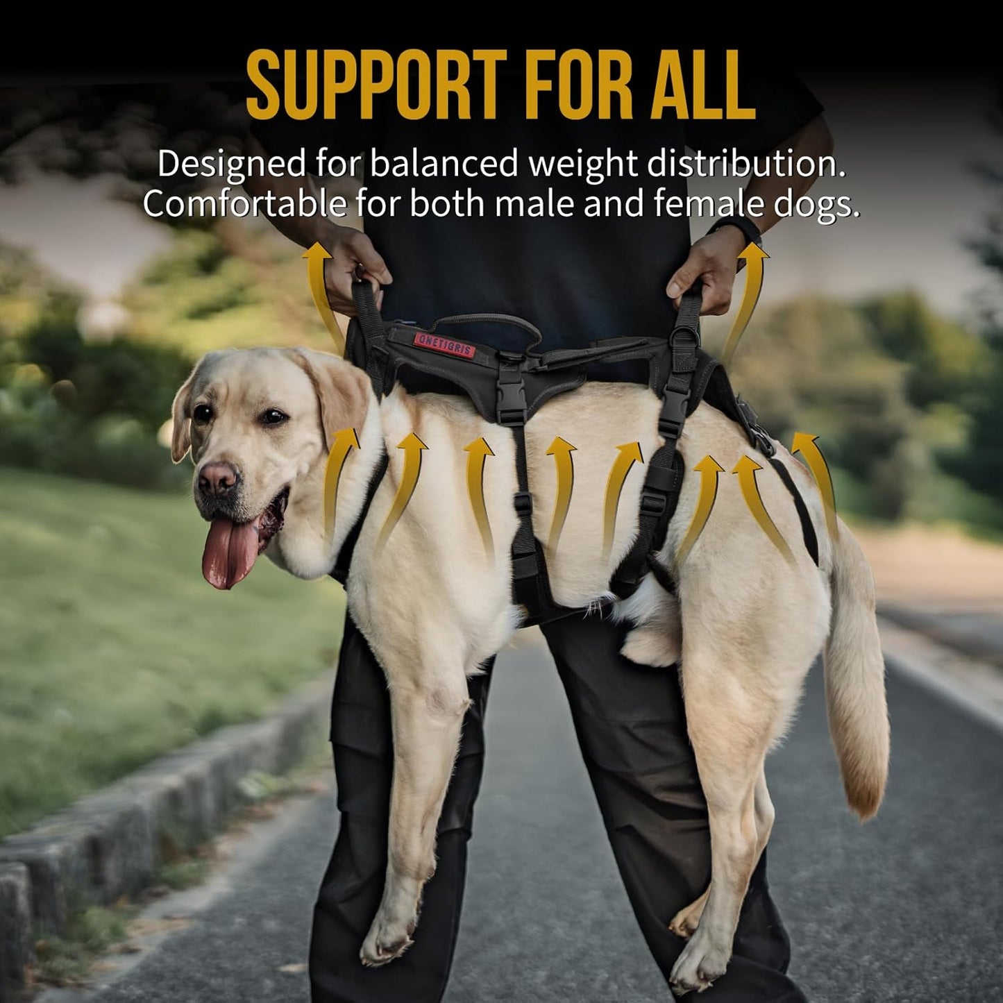 OneTigris Multi-Function Dog Lift Harness, All-Gender Dogs Friendly Design, Full Body Dog Sling Carrier with Three Handles Front/Rear Leg Assist for Arthritis