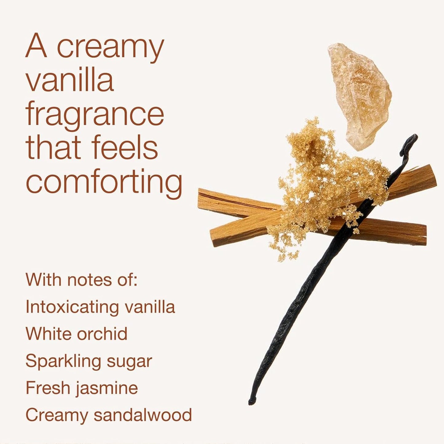 Bath & Body Works Warm Vanilla Sugar Body Lotion, Lightweight Daily Moisturizer with Shea Butter & Coconut Oil, Sparkling Sugar and Sweet Vanilla Scent, 8 fl oz - 1 Pack