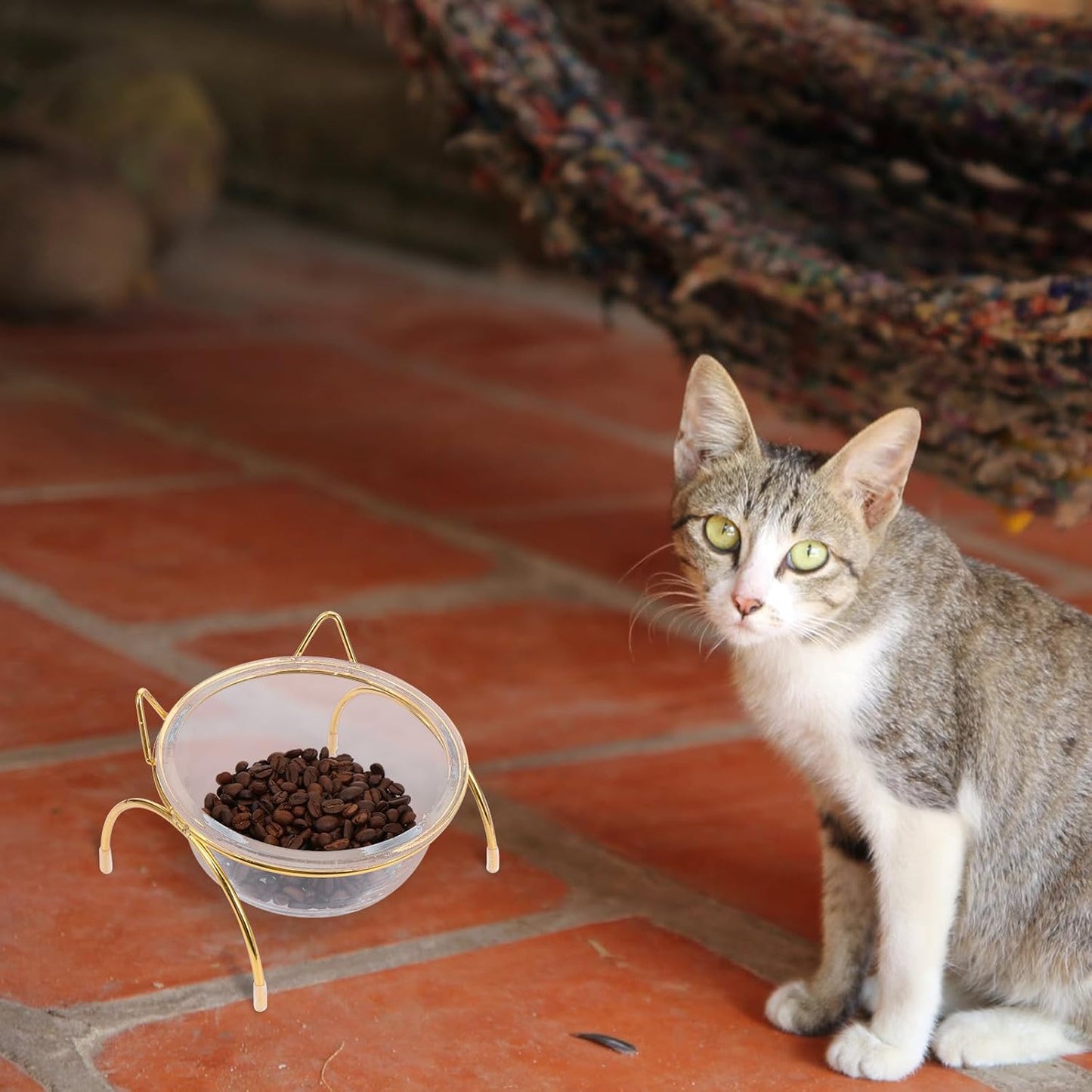 FAVOMOTO Raised Cat Food Bowl and Water Feeder Set with Neck Protection, Slant Design, Single Iron Frame and Bowl for Kitten Feeding
