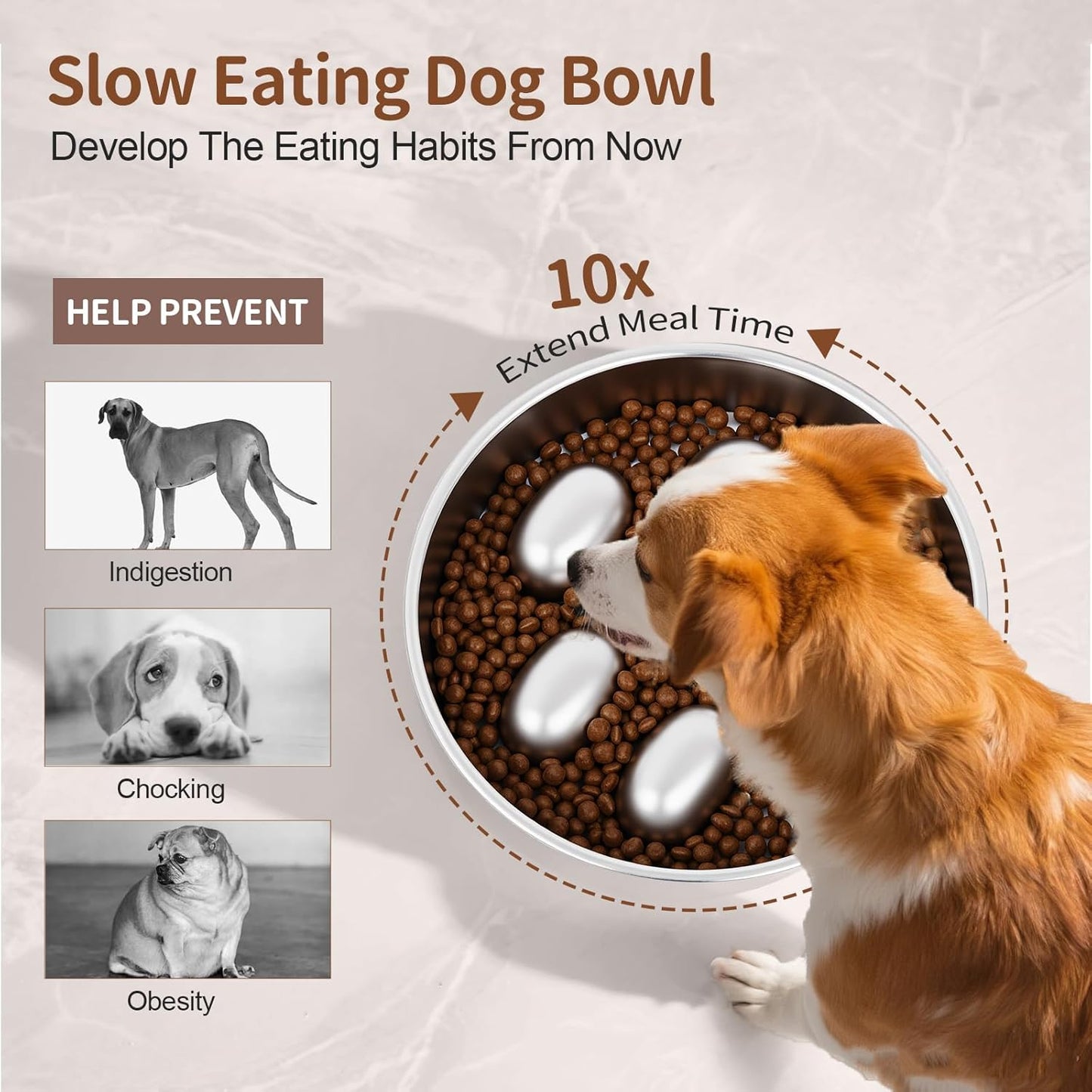 Slow Feeder Dog Bowls Stainless Steel with Non-Slip Silicone Pad Metal Bowl 2 Cups Heavy Duty Large Capacity Slow Feed for Small, Medium, Large Breed Dogs to Slow Down Eating