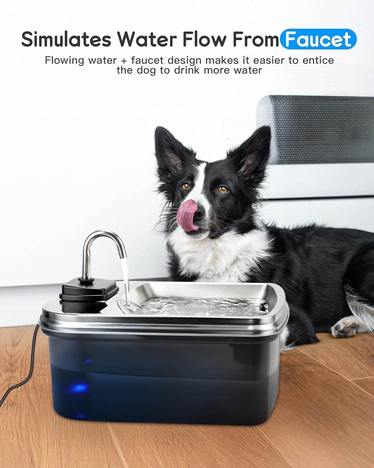Stainless Steel Pet Fountain with Charcoal Filter, Includes Bone Treats, 16 x 10 x 10 in