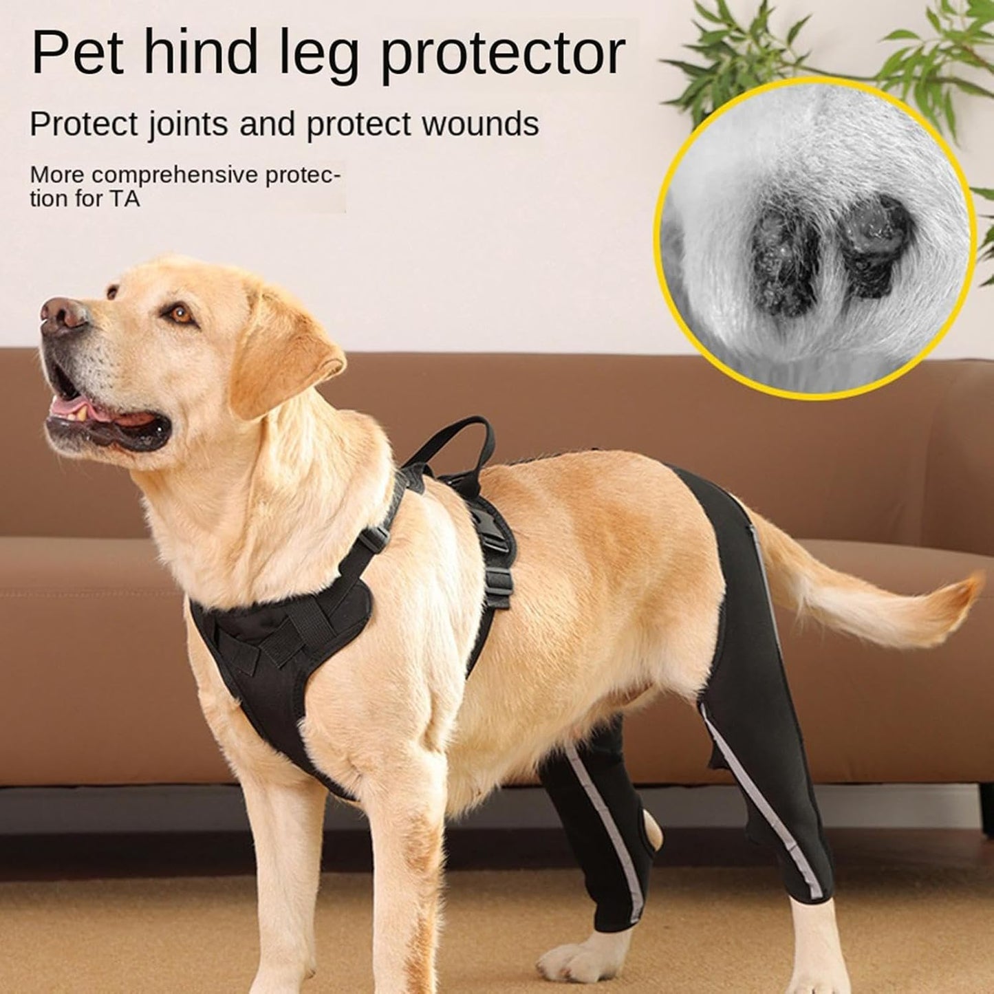 Dog Support Harness for Back Legs - Reflective Strap Lift Harness Sling Carrier,Back Leg Support | for Old Joint Injuries Torn Limping Osteoarthritis Paralysis Walking