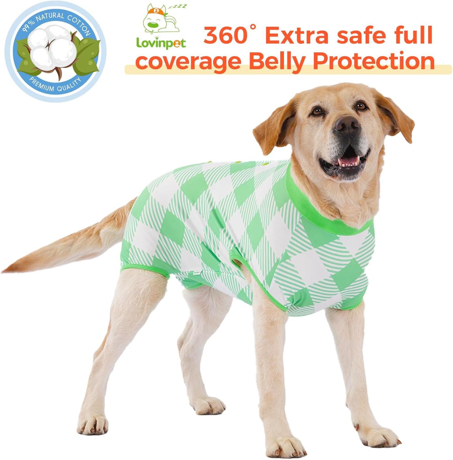LovinPet Female Dog Recovery Suit for Spay and Post-Op Rest, Plaid Belly Coverage Bodysuit with Soft Cushion Panel, Post-Surgery Clothes for Large Dogs, Green, XXL
