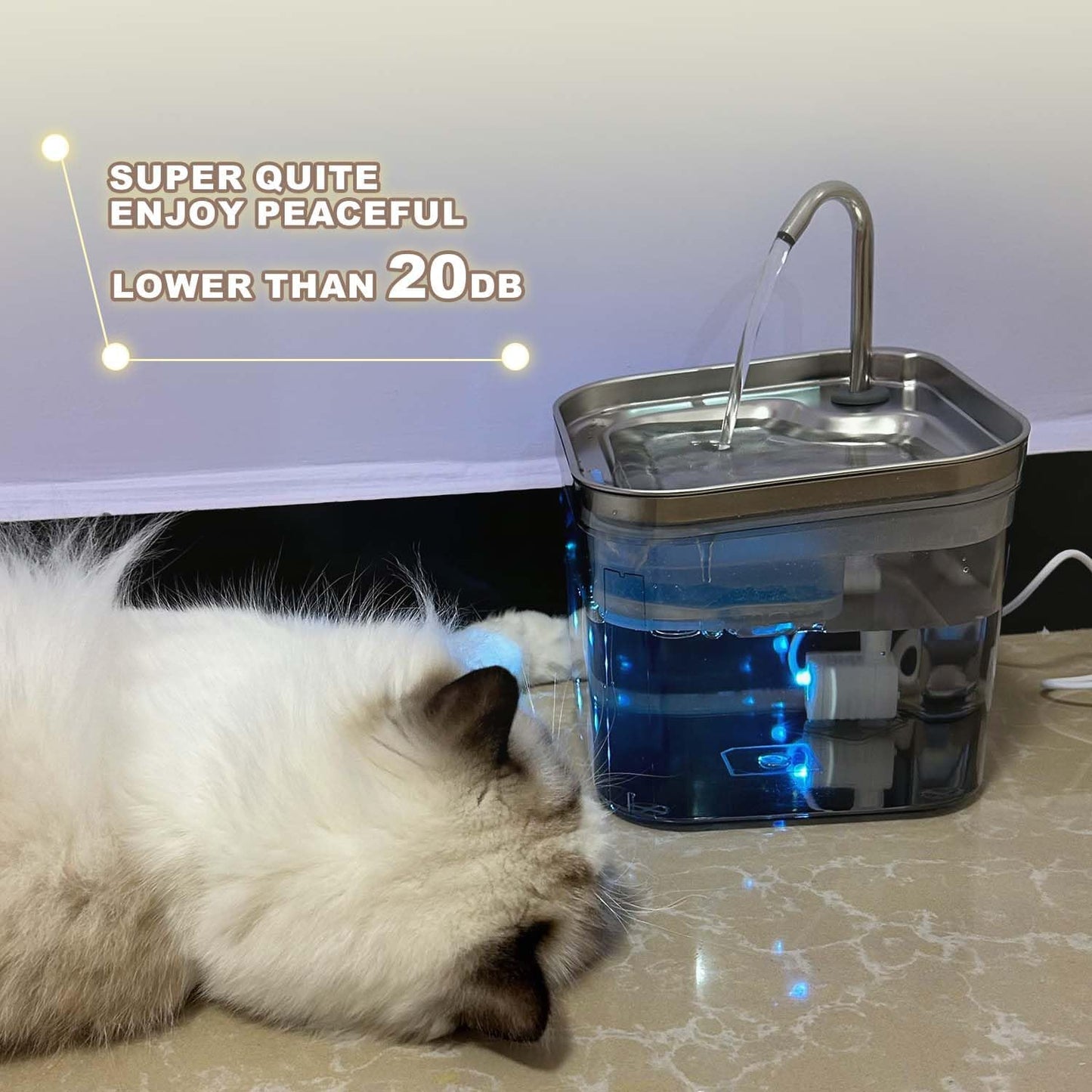 Cat Water Fountain, 74OZ/2.2L Stainless Steel Cat Drinking Fountain with Ultra Quiet Pump, for Cats Dogs Indoor
