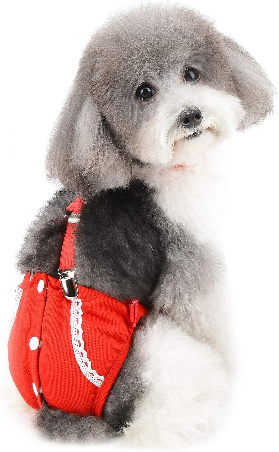 ZUNEA Female Dog Diapers Washable Dog Nappies Cute Puppy Sanitary Diaper with Adjustable Brace Reusable Pet Physiological Pants Soft Suspender Nursing Nappies for Small Girl Dogs
