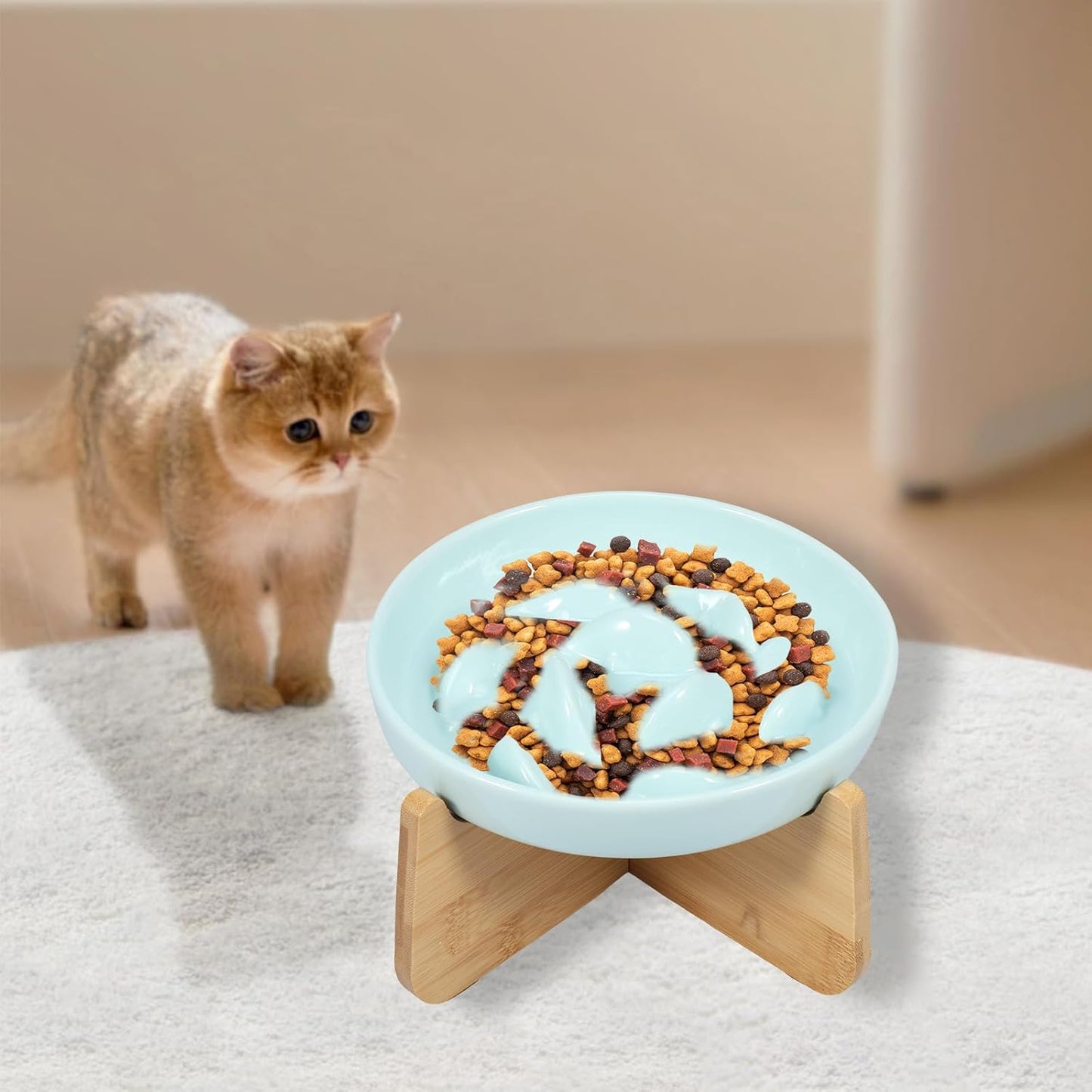 Raised Cat Bowl Elevated Cat Bowls with Wood Stand Ceramic Raised Cat Slow Feeder Bowl 6.4×1.14 Inch Cat Feeding Bowl Anti Vomiting Cat Food Bowl Non-Slip Slow Eating Cat Bowl Cat Dish Feeder
