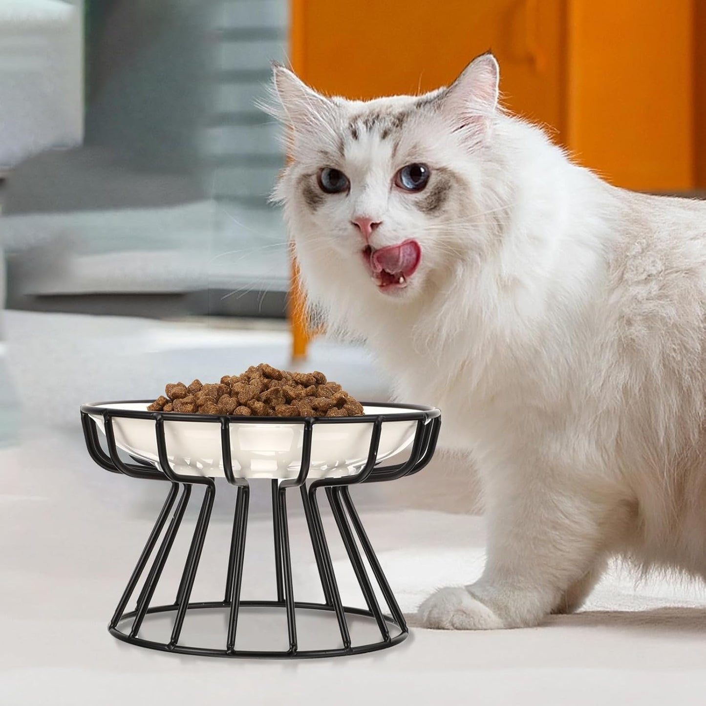 FAVOMOTO Ceramic Elevated Cat Food Bowl with High Base and Black Iron Stand, Whisker-Friendly Raised Pet Feeder for Cats and Kittens, Anti-tip Non-Slip Design for Indoor Feeding