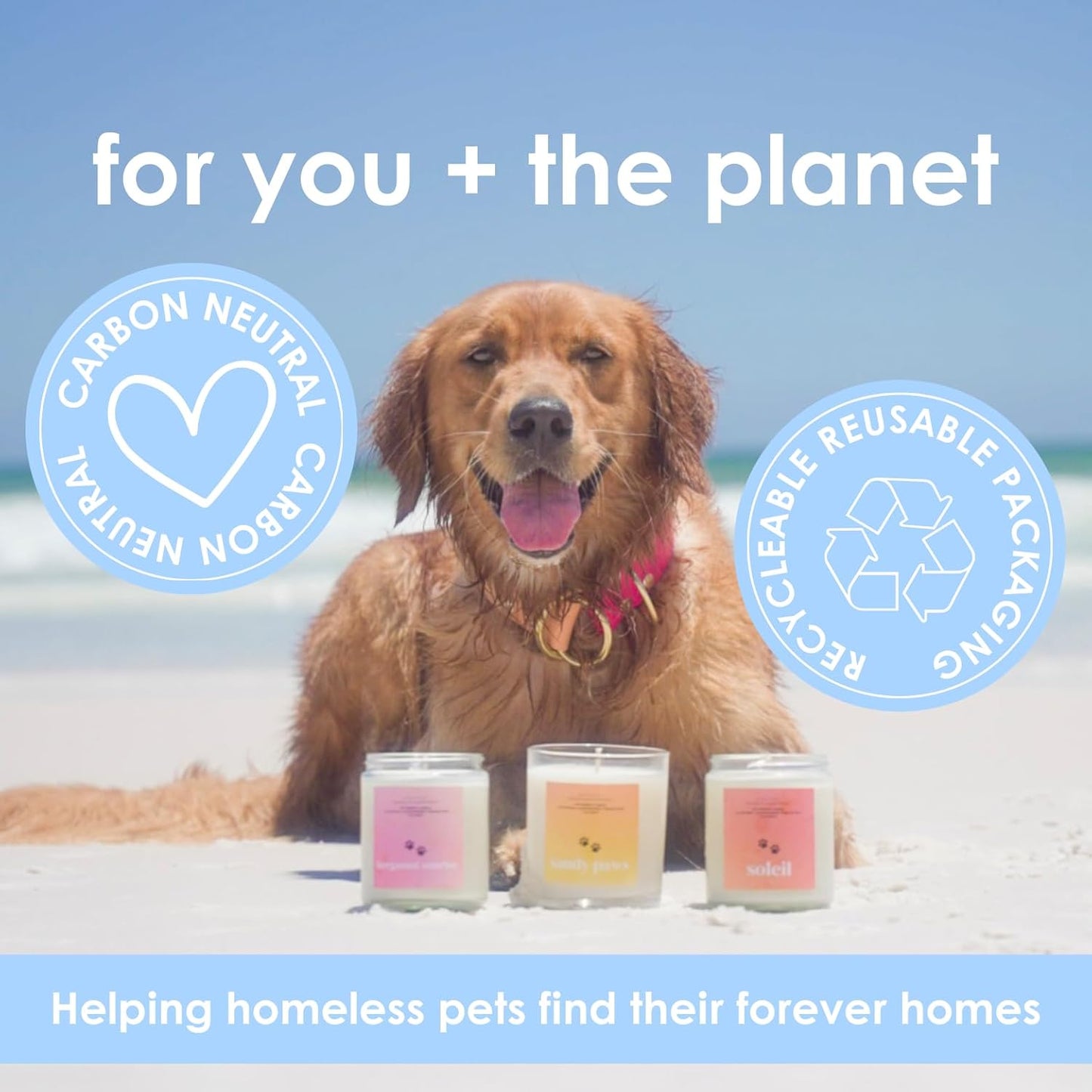Sandy Paws | Pet Friendly Wax Melts | Natural Soy | Clean Burning | Non-Toxic | Veterinarian Approved | Pet Odor Eliminator | Air Freshening Scented Wax Melts