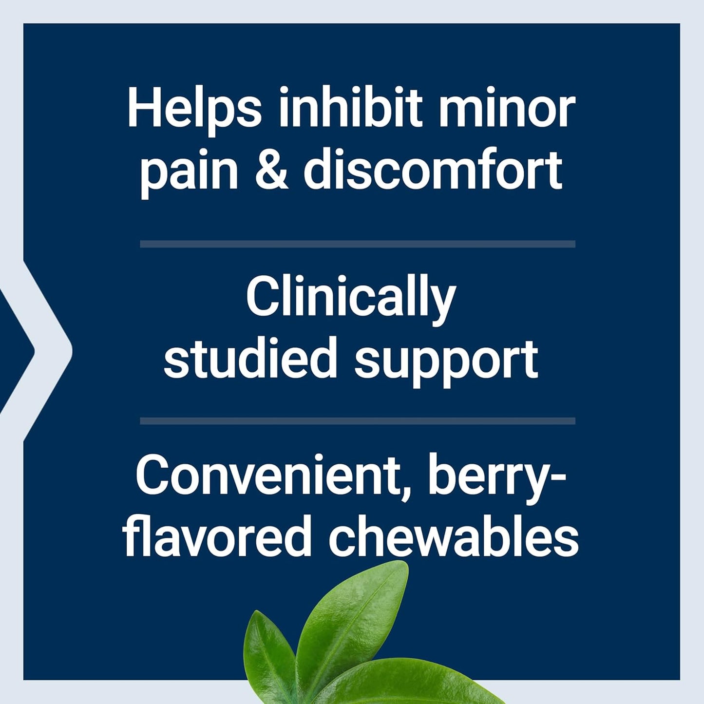 Life Extension Pea Discomfort Relief (Berry Flavor) for Occasional Minor Pain & Discomfort – Palmitoylethanolamide Supplement - Gluten-Free, Non-GMO, Vegetarian – 60 Chewable Tablets