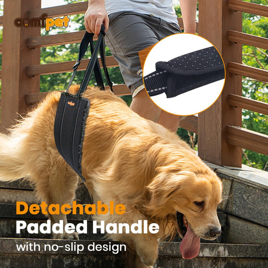 Portable Dog Lift Harness, Thickened Lambswool Dog Lift Harness for Hind Leg, Hip Support Harness Helps Elderly, Injured, After Surgery (Medium)