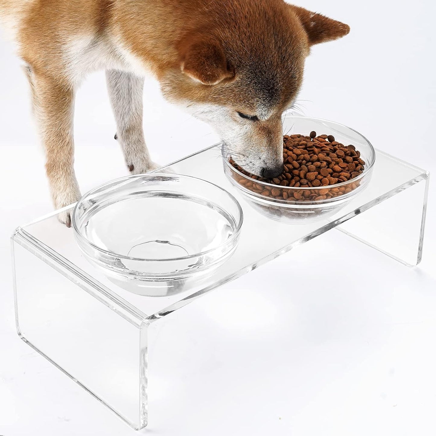 Acrylic Elevated Dog Cat Bowls Pet Feeder Double Bowl Raised Stand Comes with 2 Removable Glass Bowls and 2 Stainless Steel Bowls.Perfect for Medium Dogs, 5.5" Tall