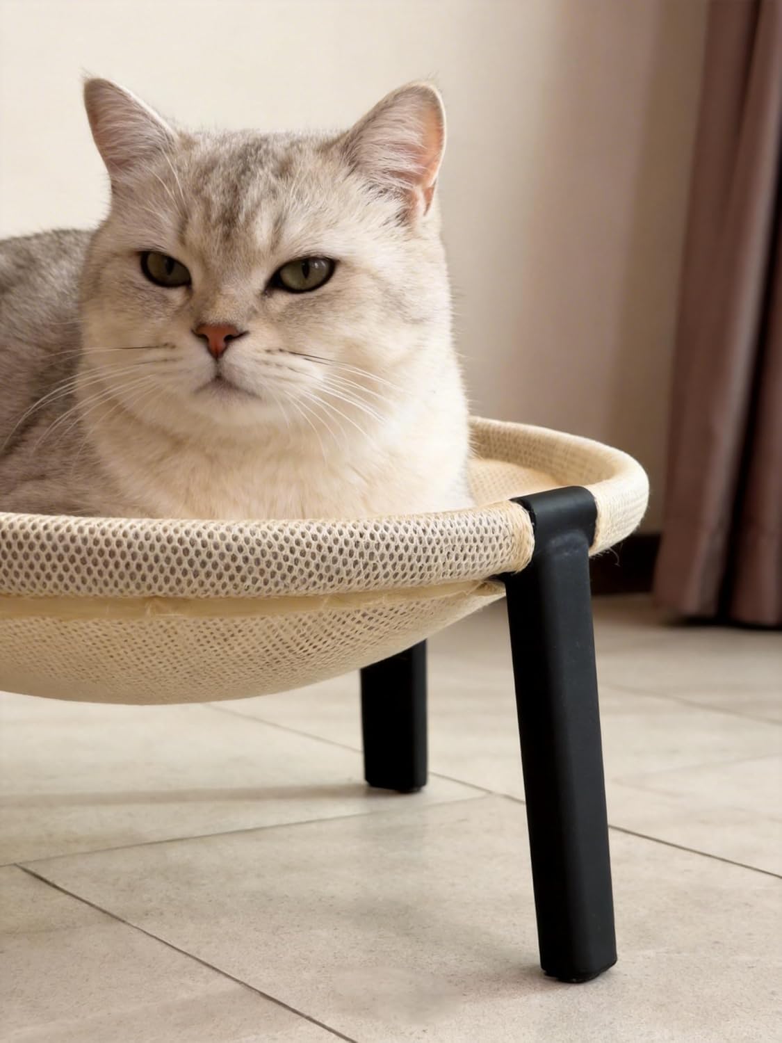 Elevated Cat Hammock Bed, Breathable Mesh Raised Cat Lounger, Removable Washable Mesh(Cream)