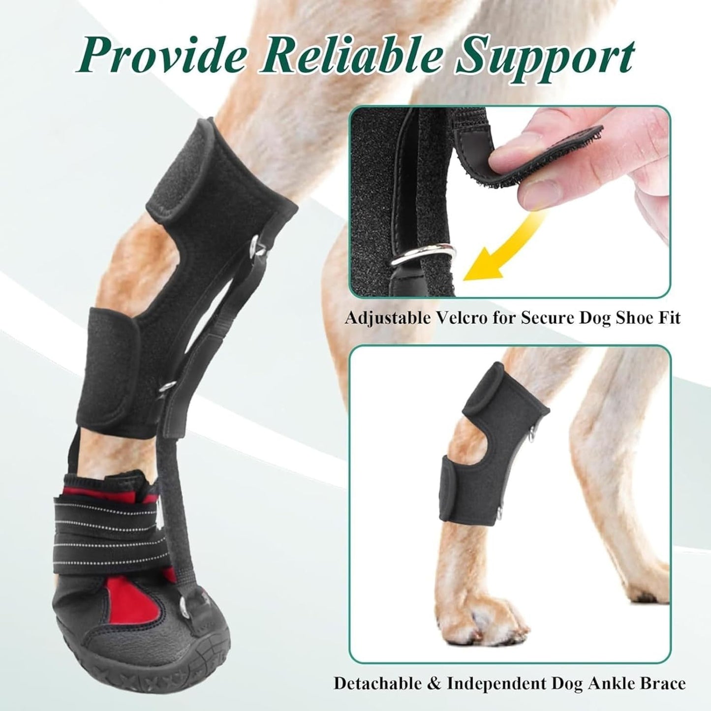 Dog Booties for Winter and Paw Protectors, Dog Brace for Acl Tear, Lift Toes for Foot Issues and Arthritis, Pet Corrector for Dogs (XL)
