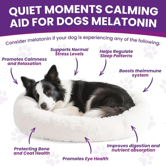 Melatonin for Dogs,Dog Sleep Aid,Calming for Dogs,Promote Relaxation,Reduce Anxiety and Stress,Regulates Sleep Patterns,Promotes Overall Well-Being,Vitamin and Probiotic Enriched Dog Melatonin