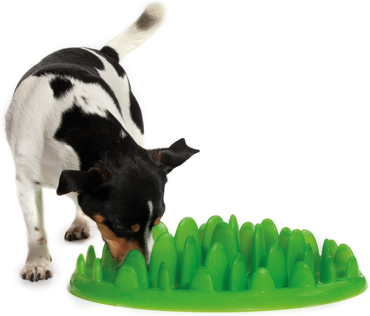 Company of Animals GREEN Slow Interactive Feeder for Dogs, Size Large, Best Fun Slow Feeder Dog Bowl, Anti-Gulp, Gobble Stopper, Mental Stimulation Dog Puzzle, Suitable for Small, Medium & Large Dogs