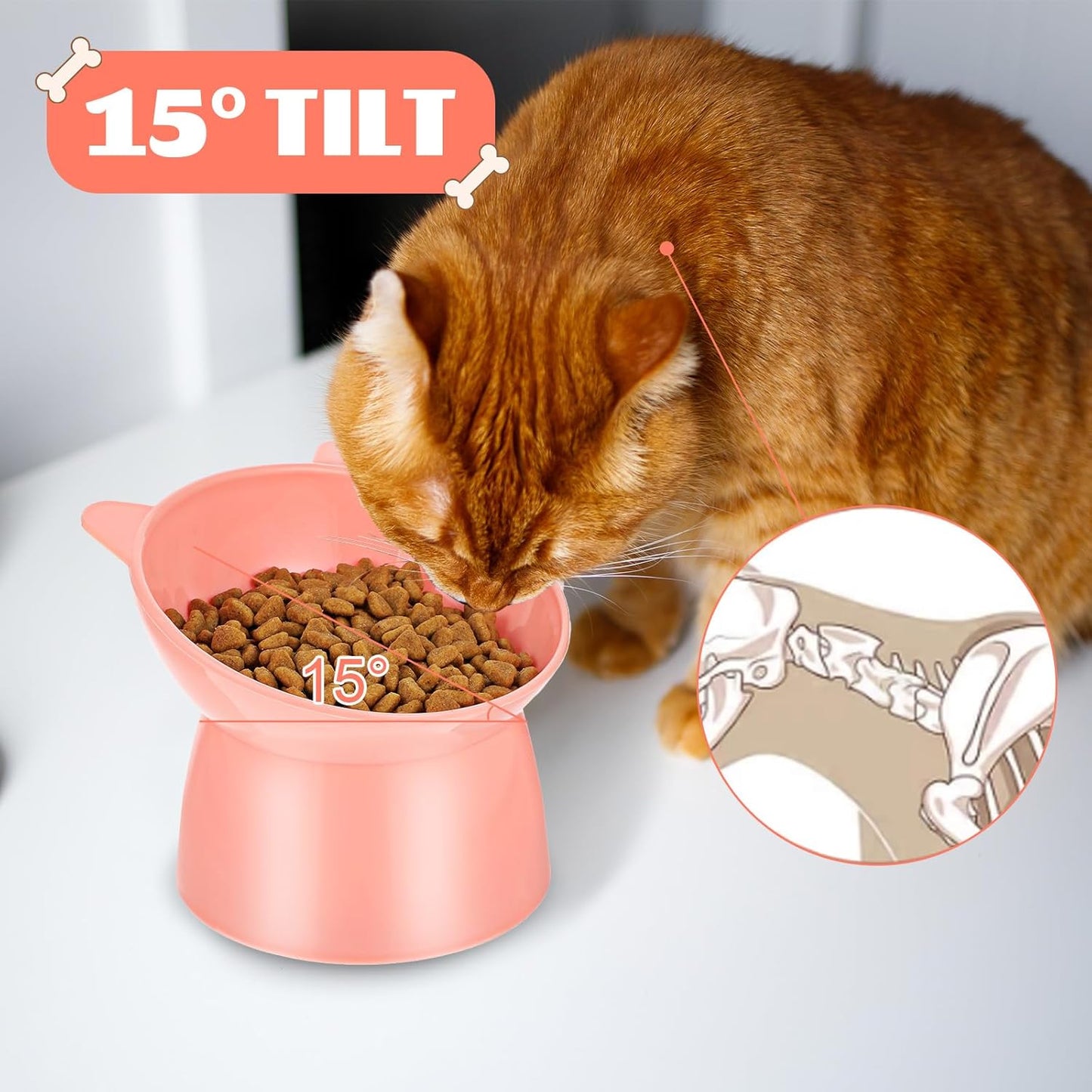 6 Pcs Plastic Raised Cats Bowls 15 Degrees Elevated Cat Bowls, Anti Vomiting Tilted Raised Cat Food Bowl Whisker Friendly Pet Bowl Stand, Pet Feeders for Cats and Small Dogs