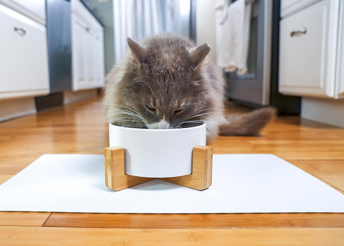 NAT & Jules Small White 6 inch Stoneware Ceramic and Wood Pet Bowl with Stand
