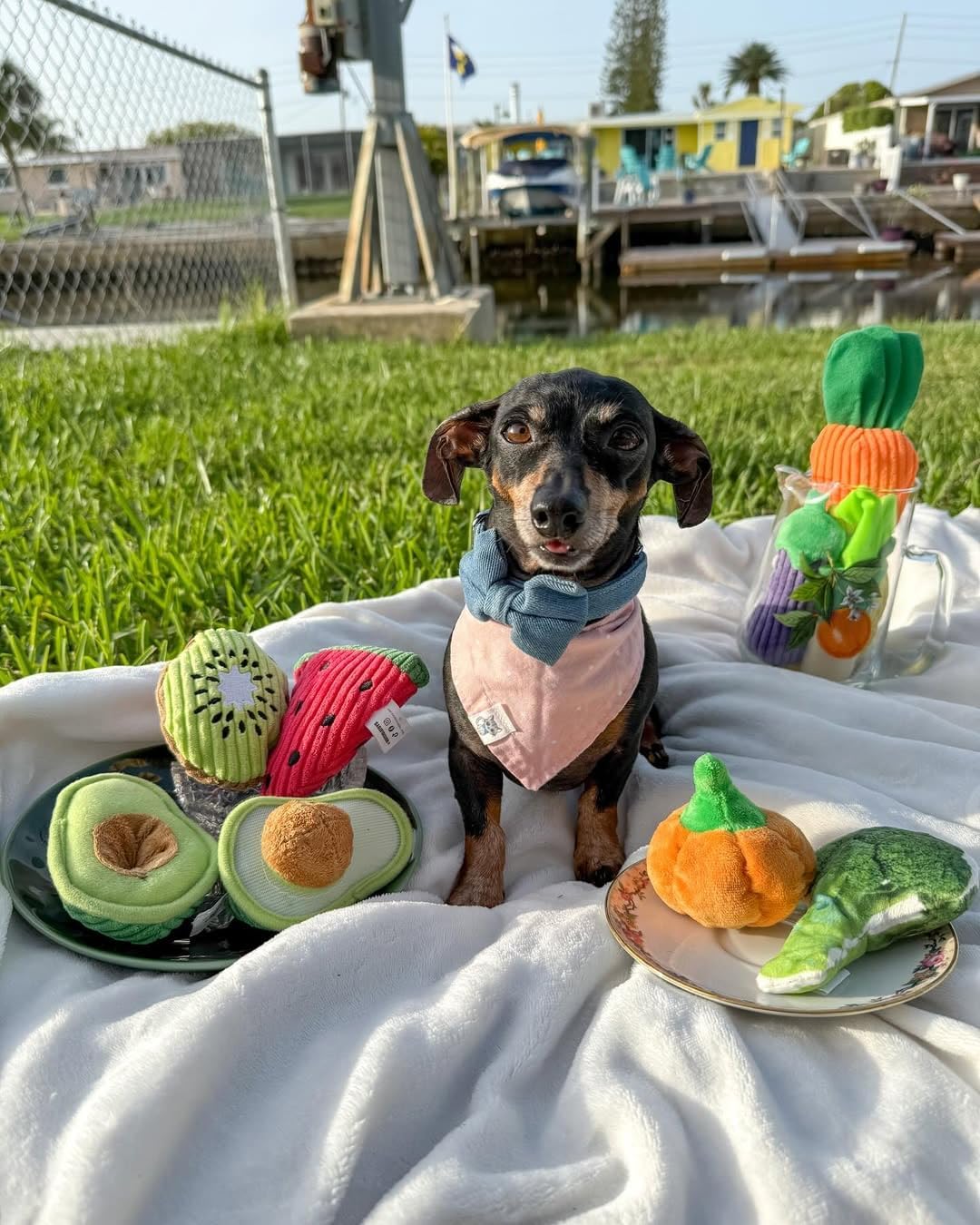 Nocciola Squeaky Fruits Veggies Stuffed Dog Toys Pack- Hide Seek Grocery Basket Crinkle Plush Puppy Toys to Keep Busy, Birthday Pet Supplies Gifts for Small Medium Breeds