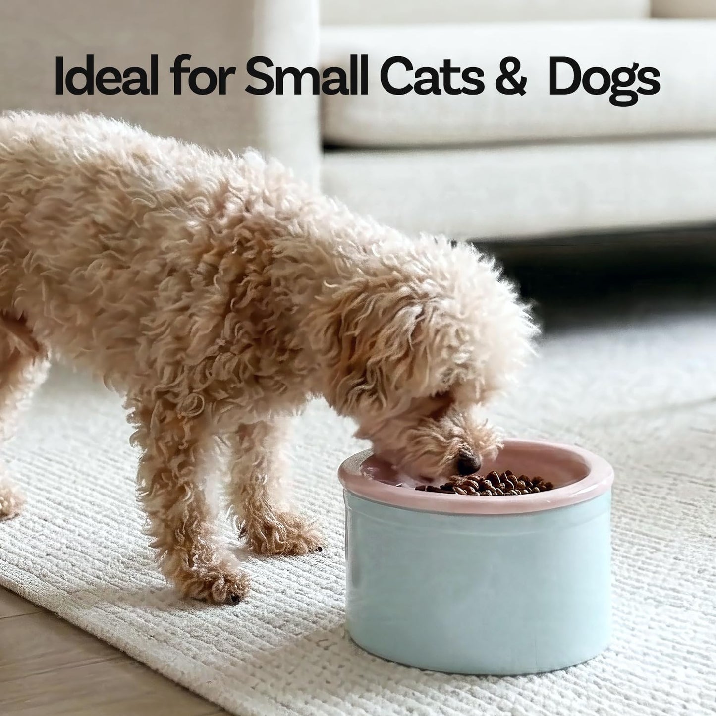 Hello Bowl Elevated Ceramic Cat Bowl with Stand, Raised Whisker-Friendly Feeding Bowl for Cats & Small Dogs, Patented Design, Made in Korea (5.9" H - Pink, Round/Wet)