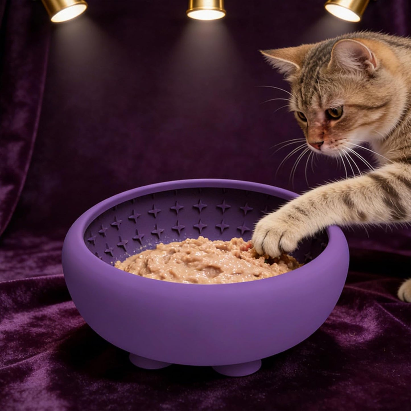 Slow Feeder Bowl - Silicone Non Slip Pet Dish, Strong Suction Cup Feeder, Sturdy Lightweight Easy Clean, Prevents Fast Eating and Spills, Premium Pet Feeding Tool, Puppy Medium Dog Cat Home