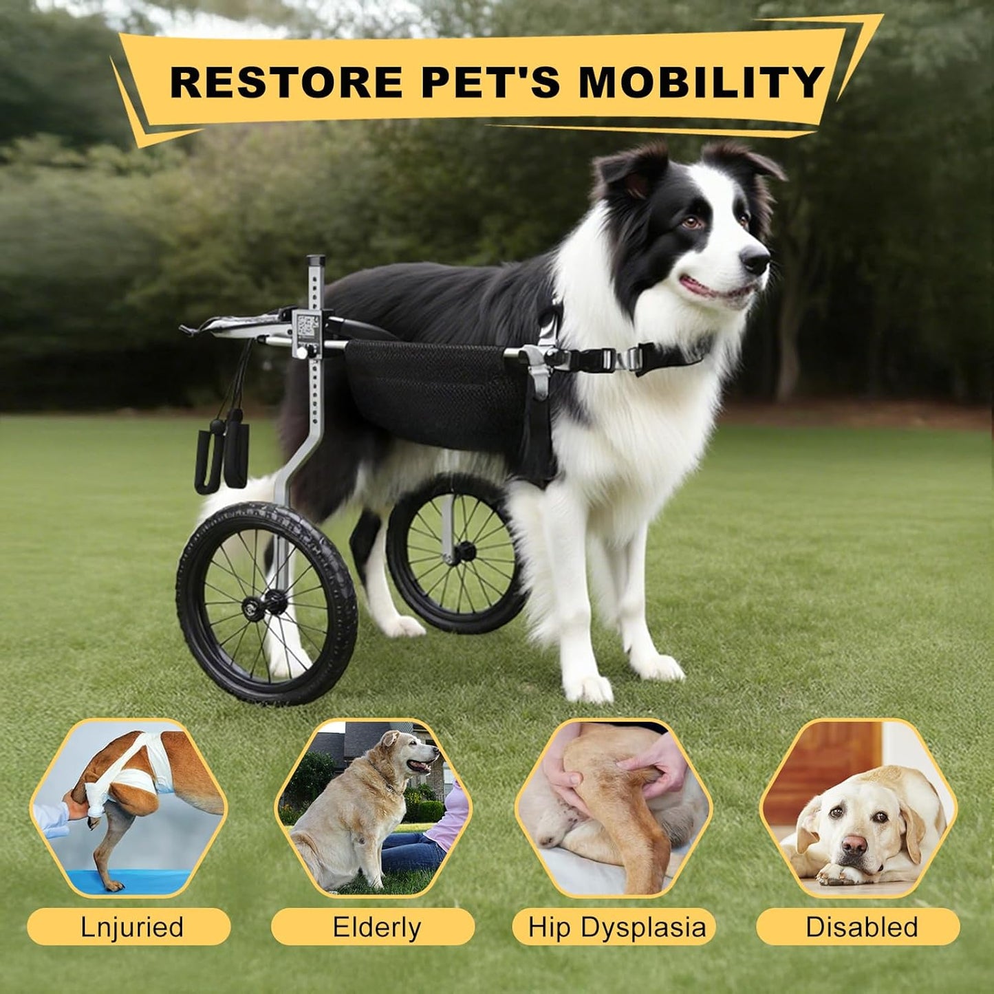 Corgi&Dachshund Dog Wheelchiar - Dog Wheelchair for Back Legs – Lightweight Adjustable Mobility Aid for Medium Dogs - Ideal for IVDD, Arthritis & Injury Recovery