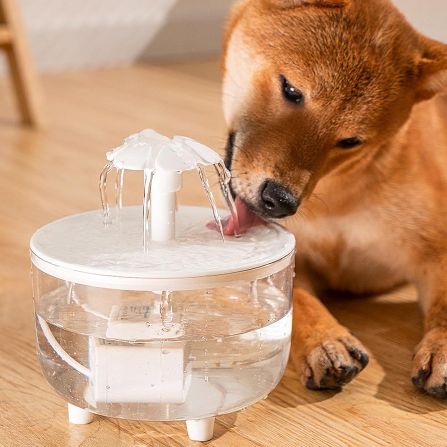 Automatic Dog Dispenser, Pet Drinking Fountain, Water Dispenser with Flower Design, Food-Safe Kitten Fountain, Ultra Quiet Pet Bowl with Filter, Indoor Water Supply for Cats and Dogs