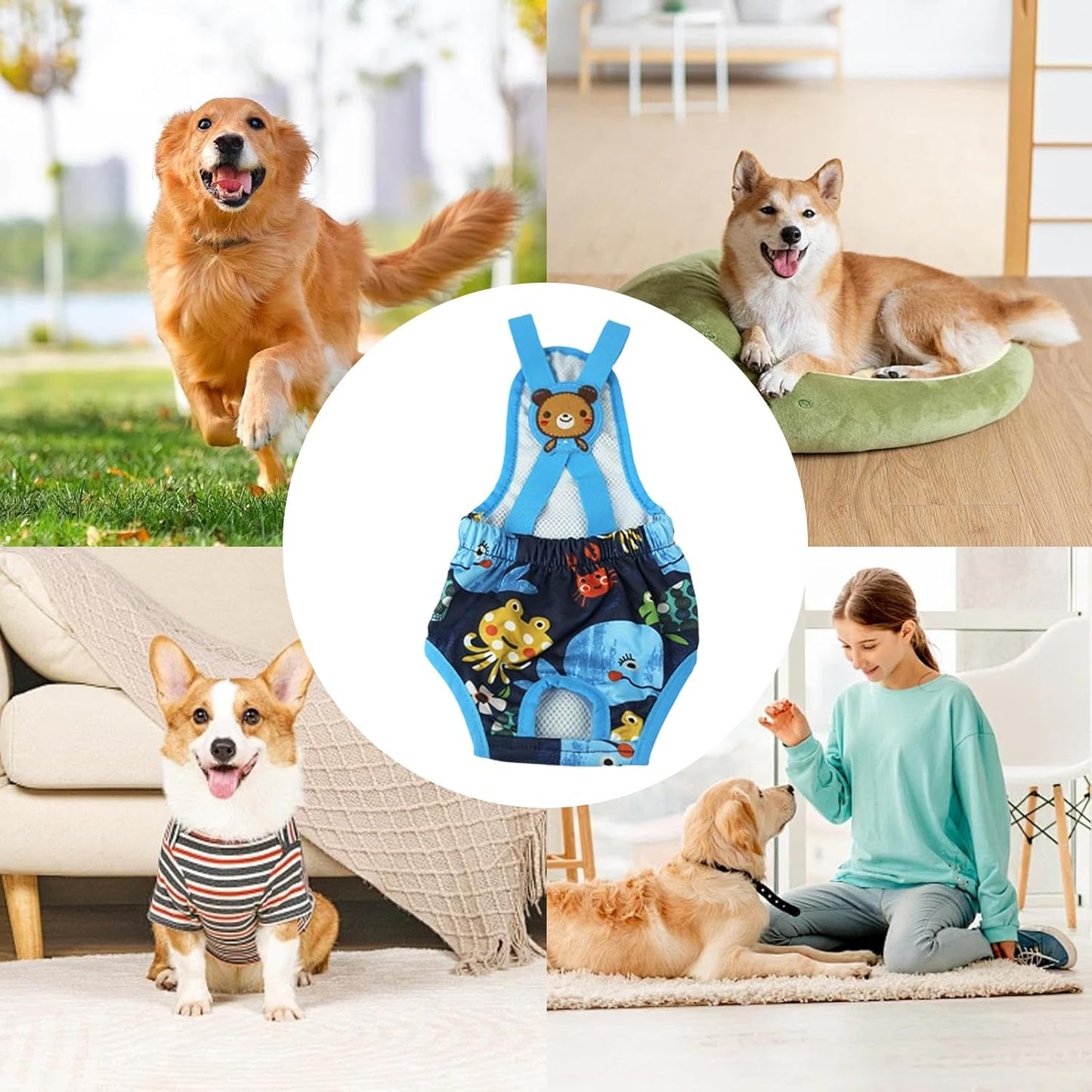 Dog Diaper - Washable Female Panties with Suspender, 1 Reusable Small Dog Diaper for Home, Apartment, Indoor, Outdoor, Travel, Car, Crate, Kennel, Yard, Park, Beach and Camping Protection