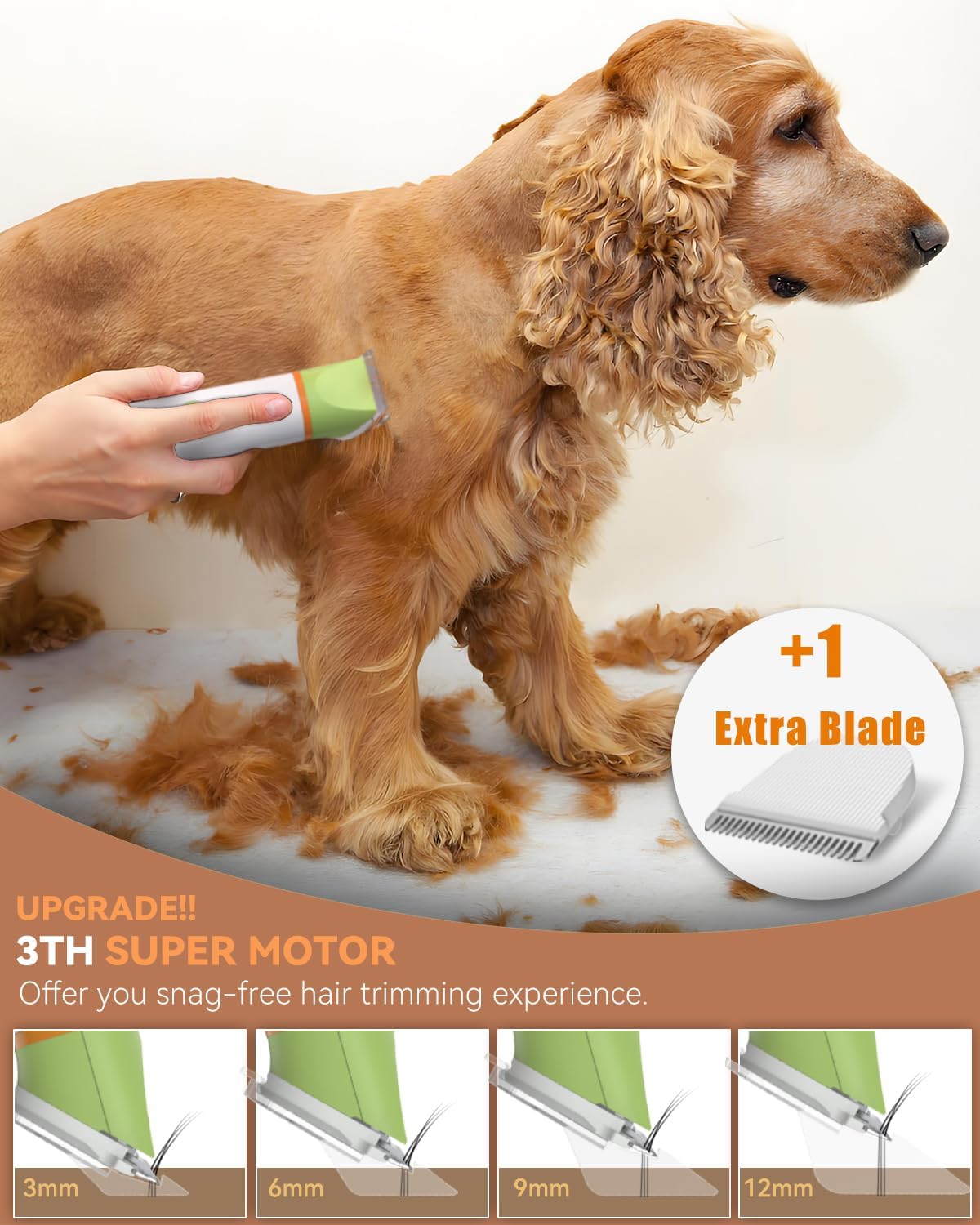 Dog Grooming Kit with Paw Trimmer, All-in-One Low Noise Electric Rechargeable Small Quiet Pet Clippers Foot Dog Hair Shaver with Stainless Steel Scissors and Comb for Dogs at Home (Green)
