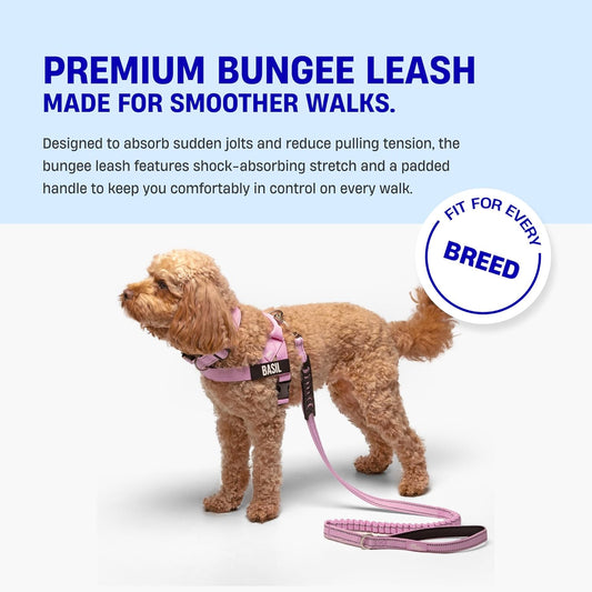 DF Co. Bungee Dog Leash | Strain Free & Shock Resistant for Control | Neoprene Padded Handle, Heavy-Duty Carabiner Clip, and D-Ring | Classic Blue, Size Regular