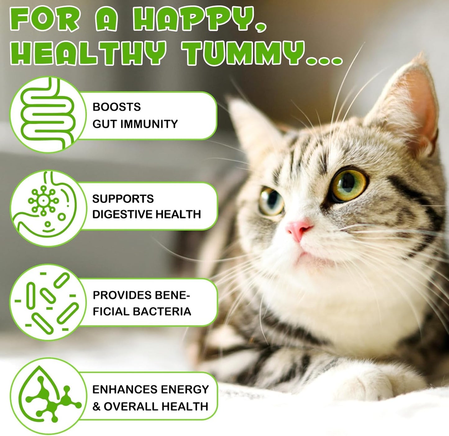 3-in-1 Probiotics for Cats with Digestive Enzymes & Prebiotics, 2 Pack for Cats of All Ages, Immune System & Diarrhea Relief, Supports Gut Health