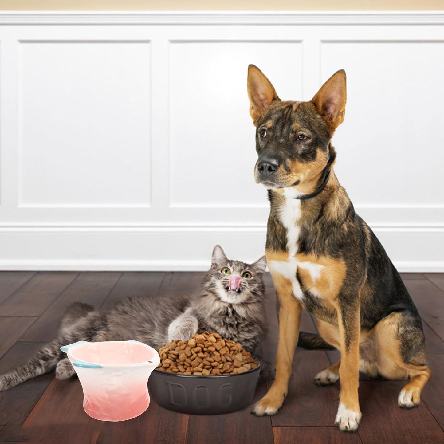 FAVOMOTO Protective Raised Cat Food Dish Tilted Pink Fish-Shaped Decorative Pet Feeder Household Food Bowl for Cat Feeding