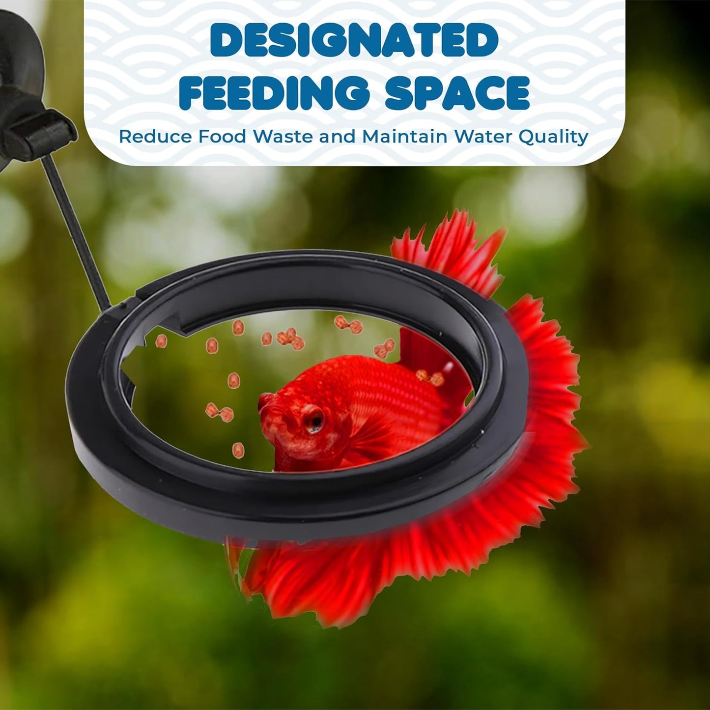 SunGrow Betta Feeding Ring, Prevent Water Turbulence from Washing Food into Filter, Practical Round Floating Food, Suitable for Guppy, Goldfish and Other Small Fish (1 Pc)