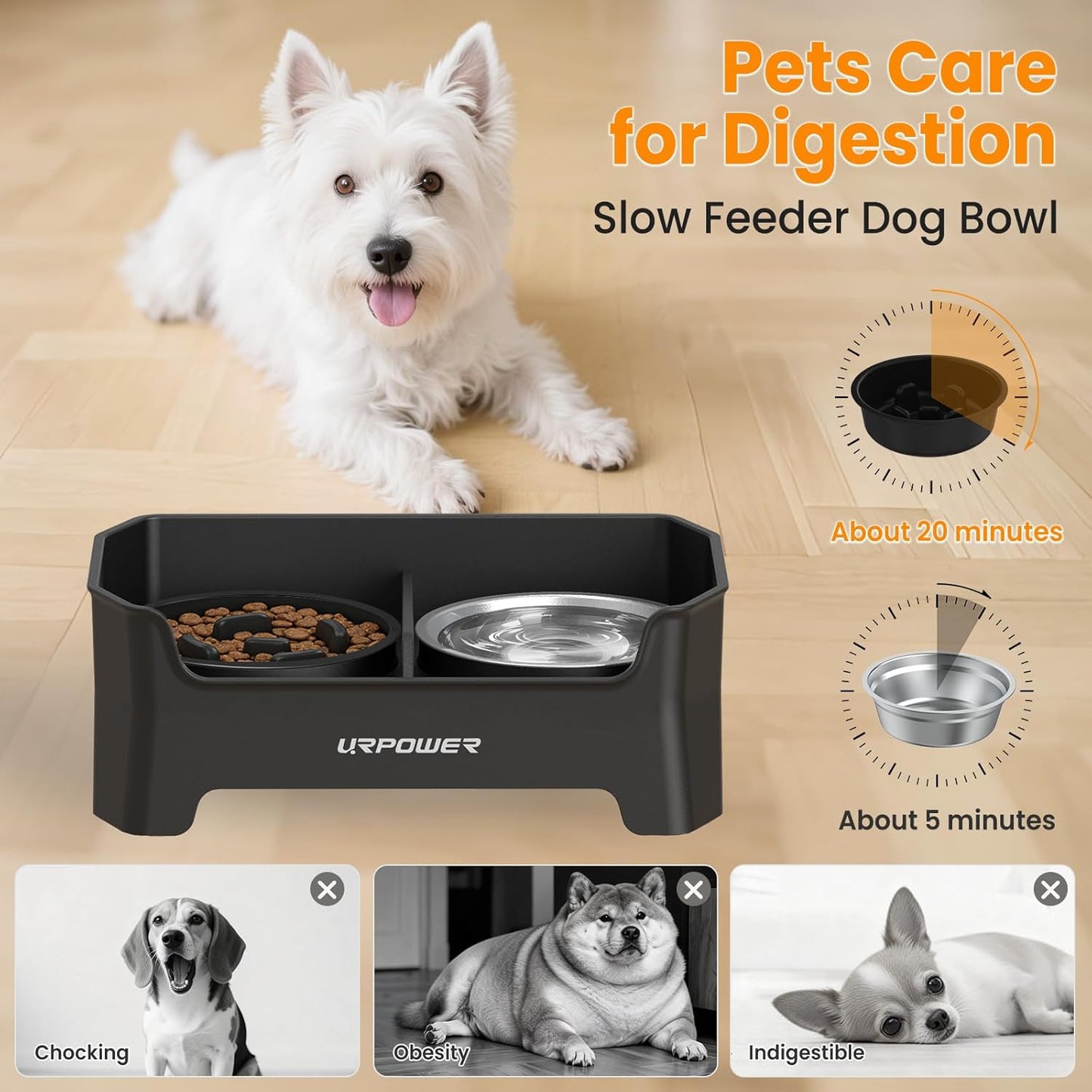 URPOWER 3-in-1 Elevated Dog Bowls - Mess Proof 4 Height Adjustable Raised Stand with 2 Stainless Steel Food Bowls for Small, Medium Dogs