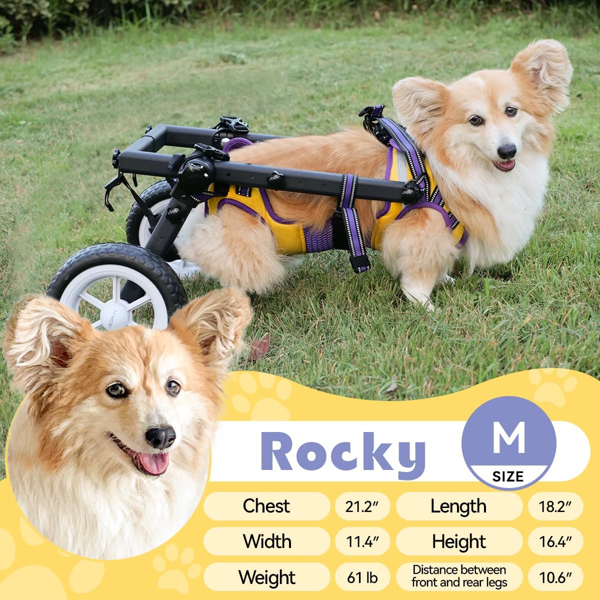 Dog Wheelchair for Back Legs Small, Newly Wheelchair for Small/Medium Dogs, Adjustable Dog Carts with Wheels for Disabled Hind Legs, with Leash, Angle-Adjustable All-Terrain Wheels - M