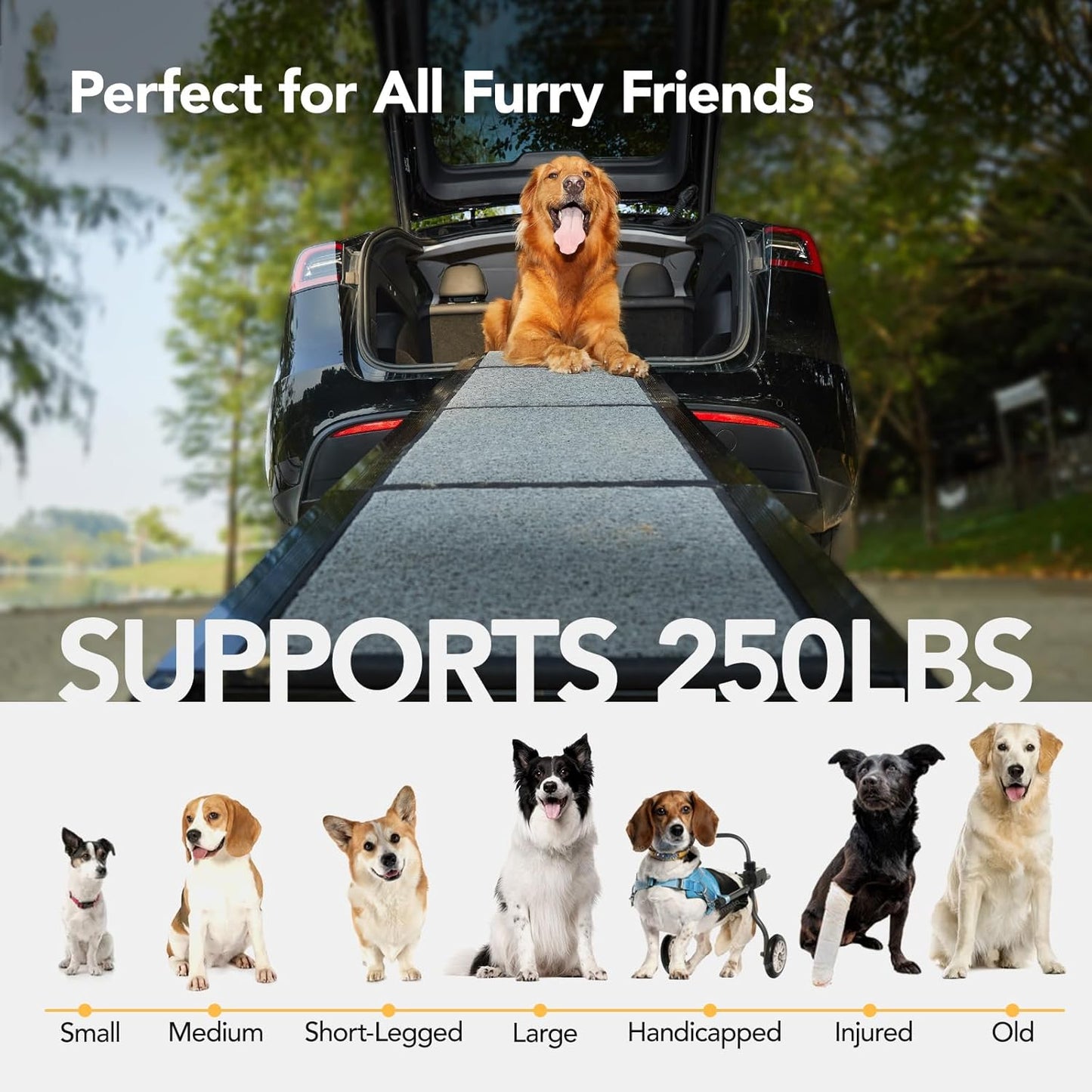 Dog Ramp for Car 71'' X-Long & 17.2" Wide Folding Dog Ramps for Large Dogs with Non-Slip Rug Surface Portable Dog Car Ramp for SUV Car & Truck, Outdoor Dog Ramp Up to 250 LBS