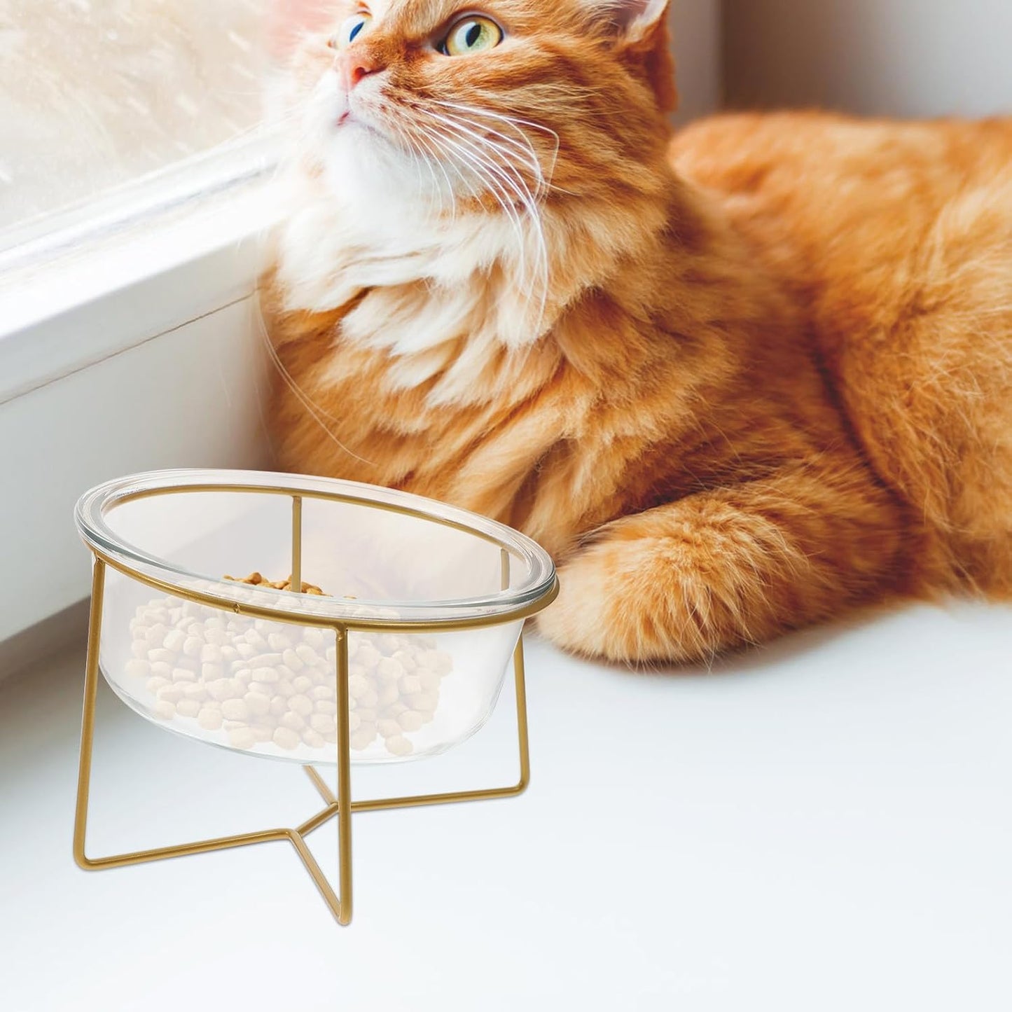 Milisten Oblique Glass Pet Food Bowl 800ml with Raised Metal Stand 17.8cm Tilted Dog Cat Feeder Elevated Feeding Dish for Neck Support and Mess Prevention Random Style