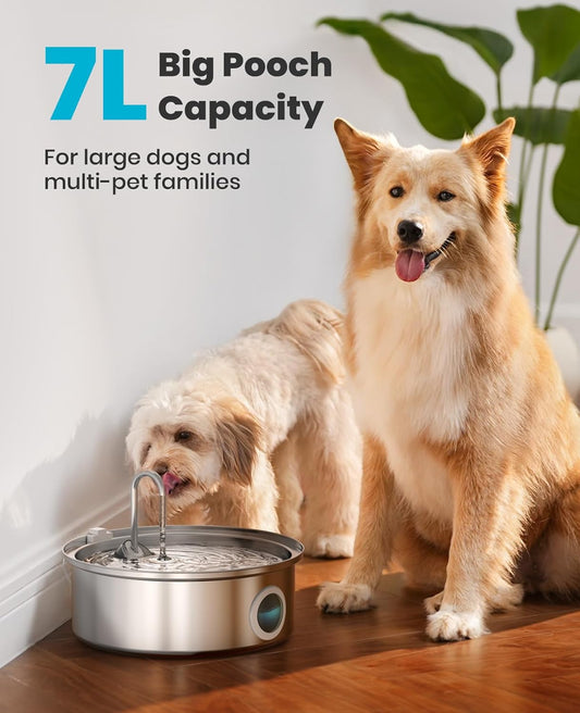 Pet Water Fountain Set, 2.2L Wireless Cat Water Fountain & 7L Large Dog Water Fountain