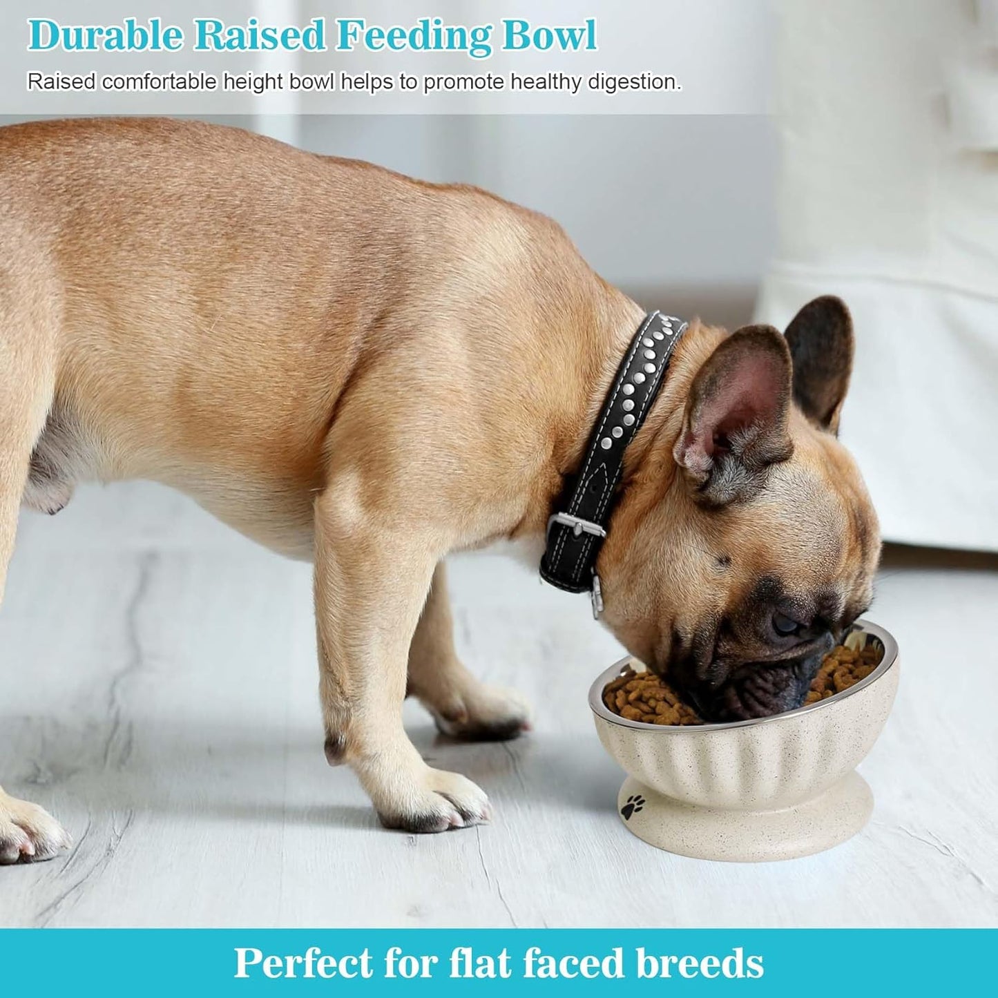 Dog Bowl for Small Dogs, Removable Stainless Steel Dog Bowls with Resin Base, Elevated and Tilted 15° Pet Food/Water Bowl,15oz Pet Food Bowl for Small Sizes