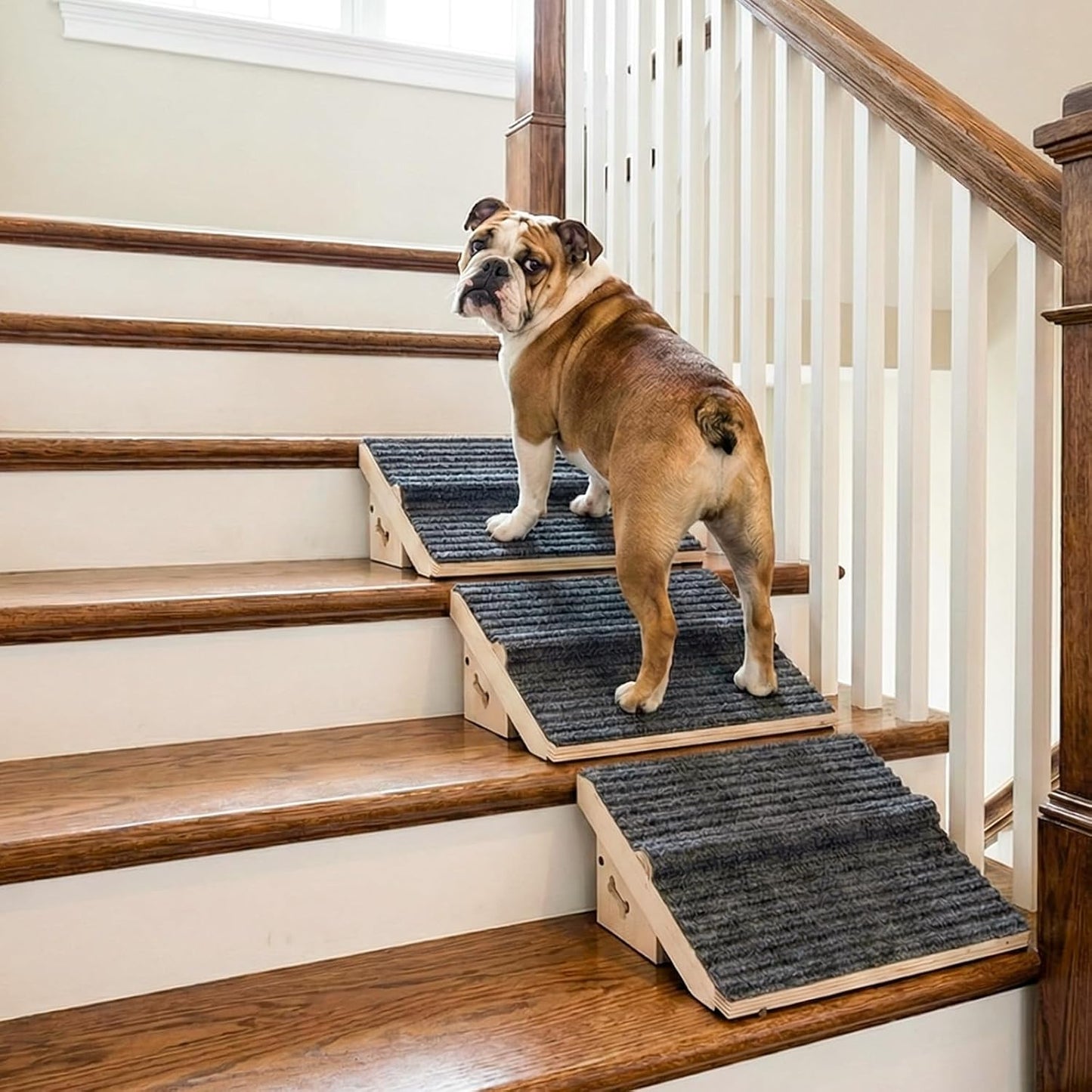 3 Pack Wooden Dog Ramp for Stairs,Friendly to Short-Legged/Small/Injured/Aged Dogs with High Support,13L*9W*5H''+26°Slope Fits Your Staircase,with Anti-Slip Pads for Climbing Safely,Stairs Assist