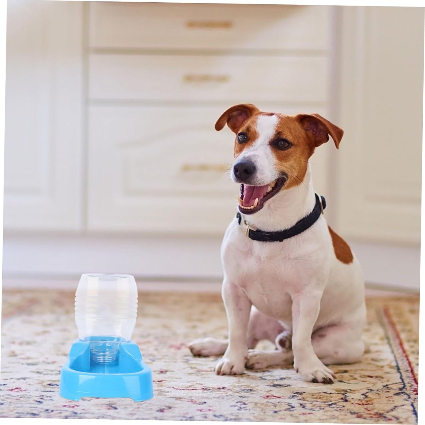 Milisten Pet Water Feeder Creative Dog Water Bowl with Smooth Surface Design for Home Automatic Refill Puppy Drinking Tool
